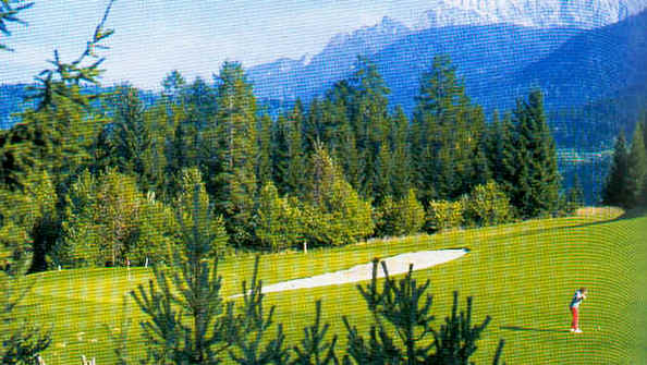 wpe45.jpg (45591 Byte)