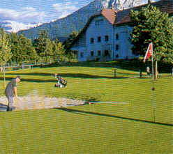 wpe51.jpg (11034 Byte)