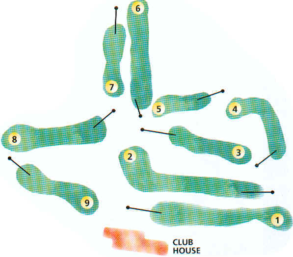 wpe40.jpg (32211 Byte)