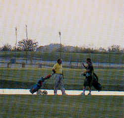 wpe6C.jpg (8540 Byte)