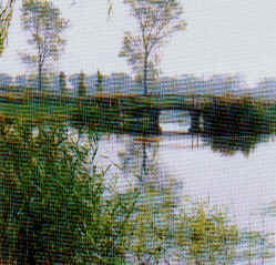 wpe6D.jpg (11781 Byte)