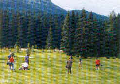 wpe13F.jpg (8621 Byte)