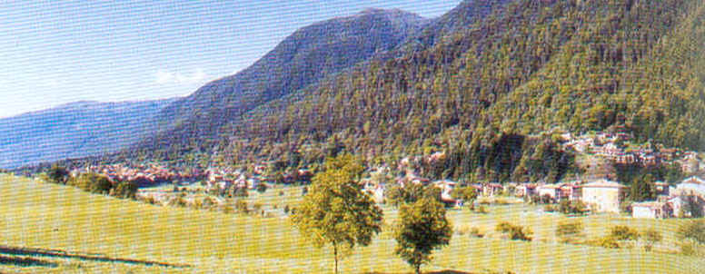 wpe145.jpg (50130 Byte)