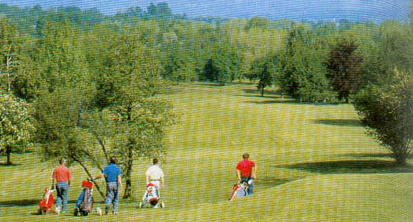 wpe1.jpg (39940 Byte)