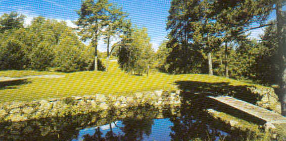 wpe3.jpg (38094 Byte)