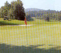 wpeD.jpg (8927 Byte)