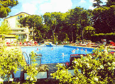 wpe3B.jpg (36494 bytes)