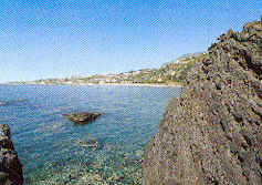 wpe05450.gif (37908 Byte)