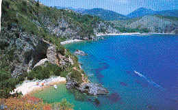 wpe83894.gif (38712 Byte)