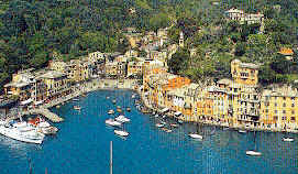 wpe87631.gif (43239 Byte)