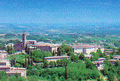 wpe25217.gif (37774 Byte)