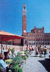 wpe76723.gif (34684 Byte)