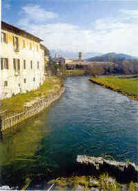 wpe1323.jpg (8725 Byte)