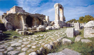 wpe3C.jpg (16341 Byte)