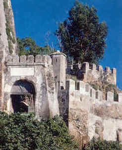 wpe5B.jpg (14907 Byte)