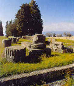 wpe445.jpg (13513 Byte)