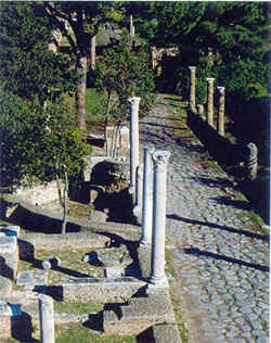 wpe2E.jpg (19119 Byte)