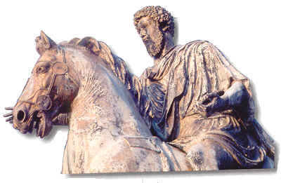 wpe2C.jpg (15957 Byte)