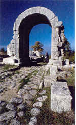 wpe38.jpg (8367 Byte)