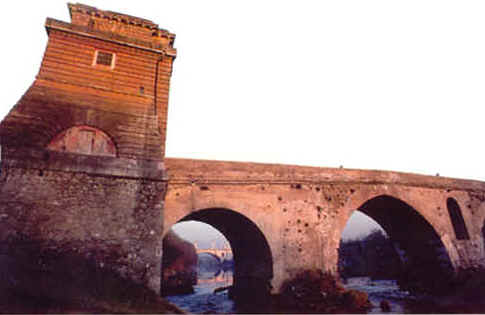 wpe45.jpg (16700 Byte)