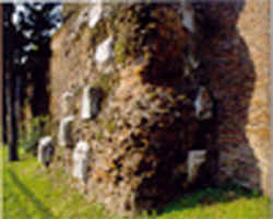 wpeB2D.jpg (8126 Byte)