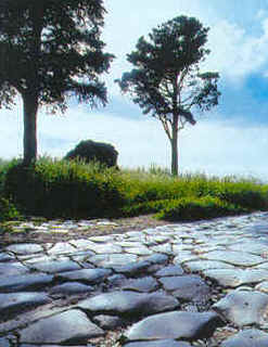 wpe23.jpg (15927 Byte)