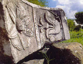 wpe2E.jpg (23734 Byte)