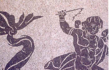 wpe36.jpg (18657 Byte)