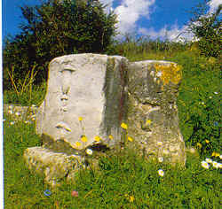 wpeB.jpg (14801 Byte)