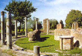 wpeE.jpg (19384 Byte)