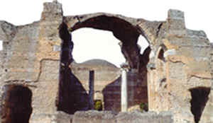 wpe321.jpg (7851 Byte)