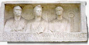 wpe7.jpg (5978 Byte)